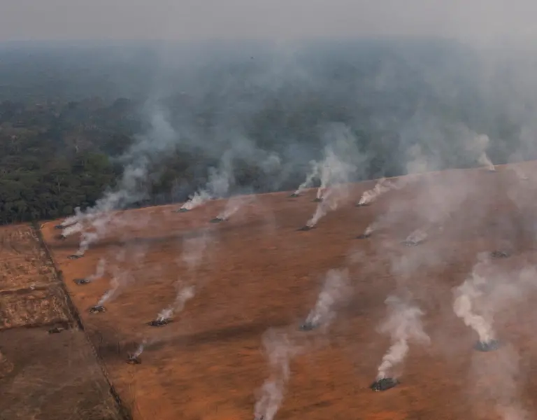 'Not an Inch': Bolsonaro Ignores Obligation To Demarcate Indigenous ...