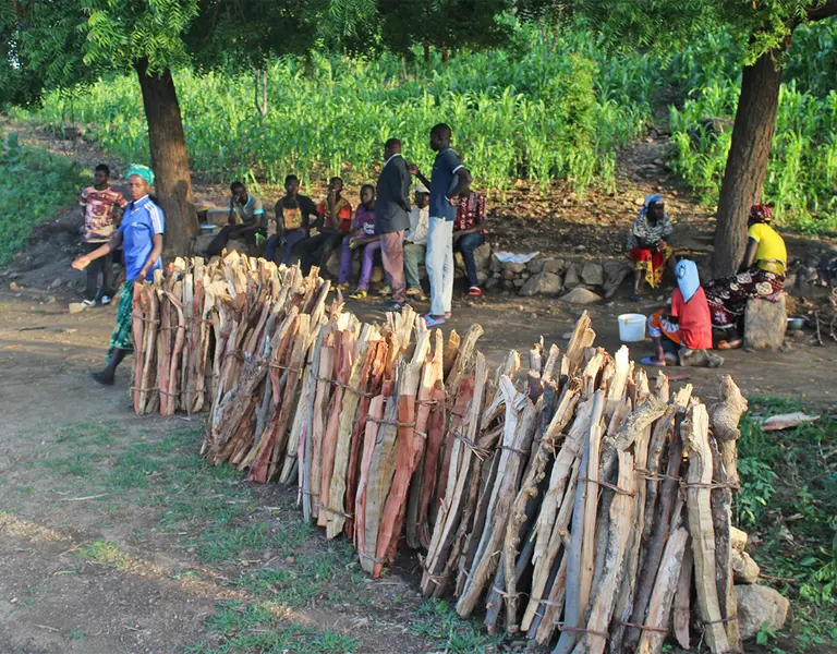 Réaliser une coupe de bois en respectant la réglementation - Coupes de bois  - Forêts - Agriculture, forêts et développement rural - Actions de l'État -  Les services de l'État dans la Drôme