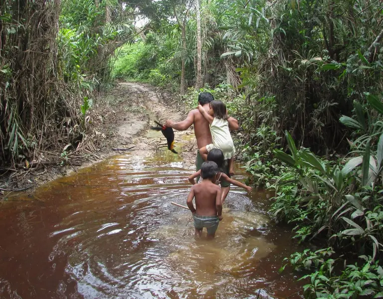 The Jungle Against the End of the World (Spanish) | Rainforest Journalism  Fund