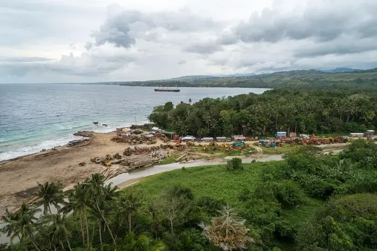 Logs are piled up on a beach, left there by a logging company. Moving single logs and equipment is often expensive, so companies will leave them at local sites. Image by Monique Jaques. Solomon Islands, 2020.