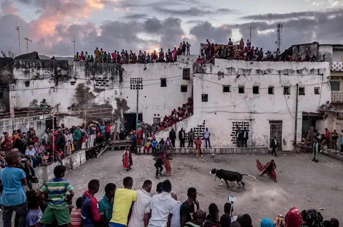 A bullfight known as the tam-tam de boeuf, part of wedding celebrations at the sultan’s palace in Domoni. Image by Tommy Trenchard. Comoros, 2019.