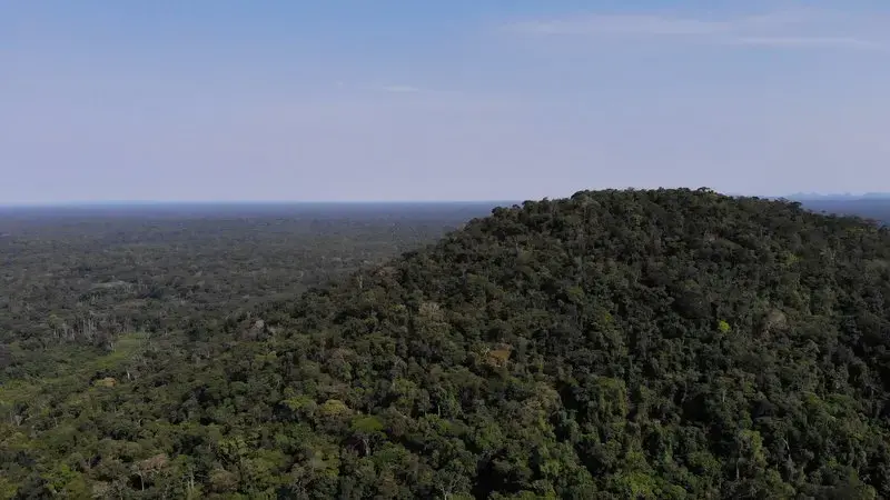 Abejorro Hill, located between Murutinga and Timbó de Betania, is the place where the license was granted. The indigenous people assert that it is an important site because there are sacred places and water springs. Image by Luis Ángel. Colombia, 2019.