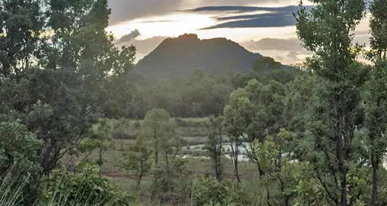 The Arco Minero is rich in minerals, but also in biodiversity and natural beauty. It includes nearly 200 indigenous communities, plus many conserved areas, all put at risk by mining. Image by Bram Ebus. Venezuela, 2017.<br />
