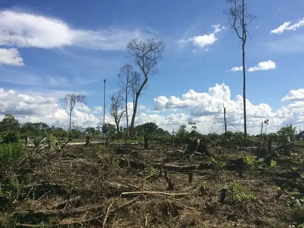 Recent deforestation outside El Retorno in Guaviare, Colombia. Image by Lisa Palmer. Colombia, 2017. 