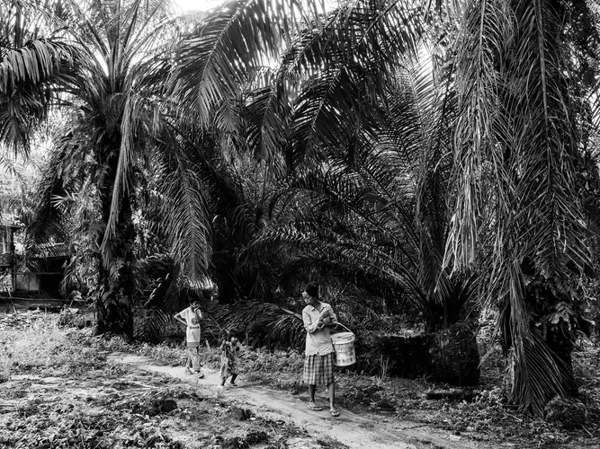 Ida, Santi, and Fitri on their way to wash their clothes in the reservoir. Image by Xyza Cruz Bacani. Indonesia, 2018.