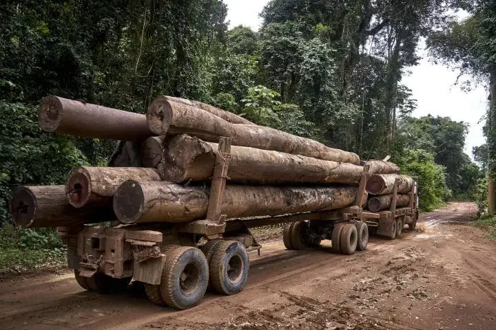 A transportation truck of the loggers in indigenous Maró territory. Brazil, 2019. Image by Pablo Albarenga
