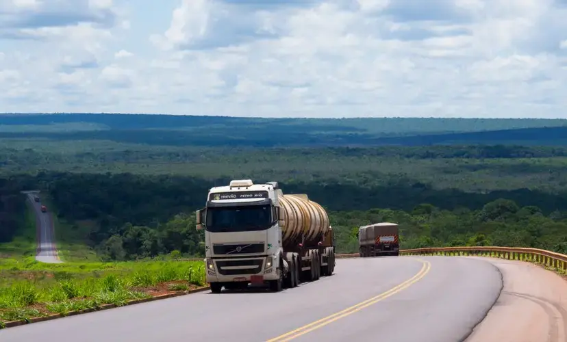 Highway BR-163, used to transport soy, transects the forest in the state of Pará. The 'grain train' (Ferrograo) is meant to advance in parallel to this road, instigating fears of deforestation. Image by Melissa Chan. Brazil, 2019. 