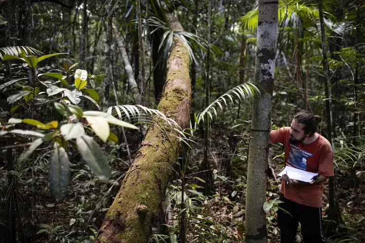 Botanist Layon Demarchi measures the growth of a tree in the Amazon rainforest. Tracking how vegetation responds to changes in temperature and rainfall is critical to understanding the Amazon’s role in the global climate system. Image by Victor Moriyama. Brazil, 2019.