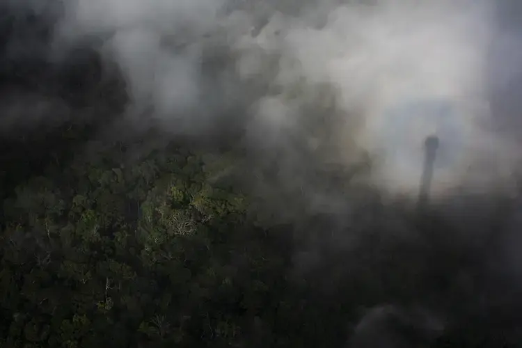 The heat from the rising sun leads the fog to thin out, showing just how high up we are on the tower. Image by Victor Moriyama. Brazil, 2019.