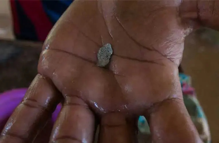 An amalgam formed with toxic mercury and gold held in a hand, with the promise of more in the hills. Imagined gold deposits drive spectacular economic speculation, along with indigenous misery and environmental risk inside the Arco Minero. Image by Bram Ebus. Venezuela, 2017.<br />
