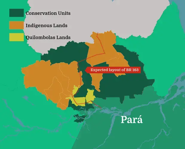 The area across which the proposed extension will cut is a rich patchwork of conservation units and traditional territories; 40 percent of the species that live there are found nowhere else on Earth. Image by Júlia Lima.