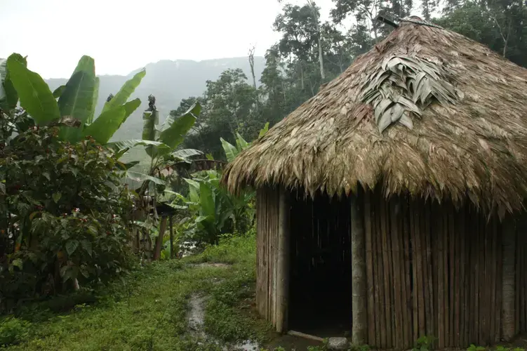 The area where the mine will be developed is populated by indigenous Shuar peoples – who live in huts like this one – and Cañari Kichwa. Image by Andrés Bermúdez Liévano. Ecuador, 2019.