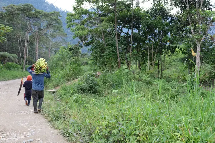 Image by Ning Hui. Ecuador, 2019.