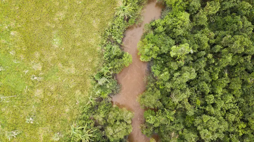 The Caru River cuts through the land and shows the pristine forest of the Indigenous lands in stark contrast with the deforested area on the opposite bank. Image by Sam Eaton. Brazil, 2018.