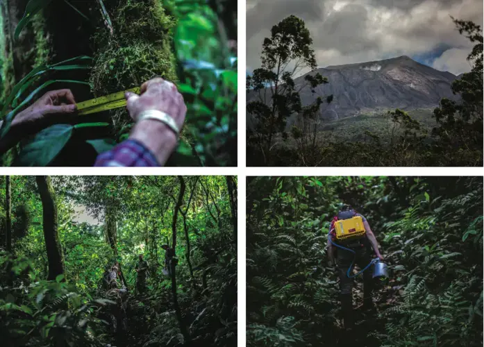 Scientists working on the volcano’s slopes survey trees and measure concentrations of carbon dioxide, which seeps from cracks in the volcanic bedrock, in preparation for a unique experiment. Image by Dado Galdieri. Costa Rica, 2020.