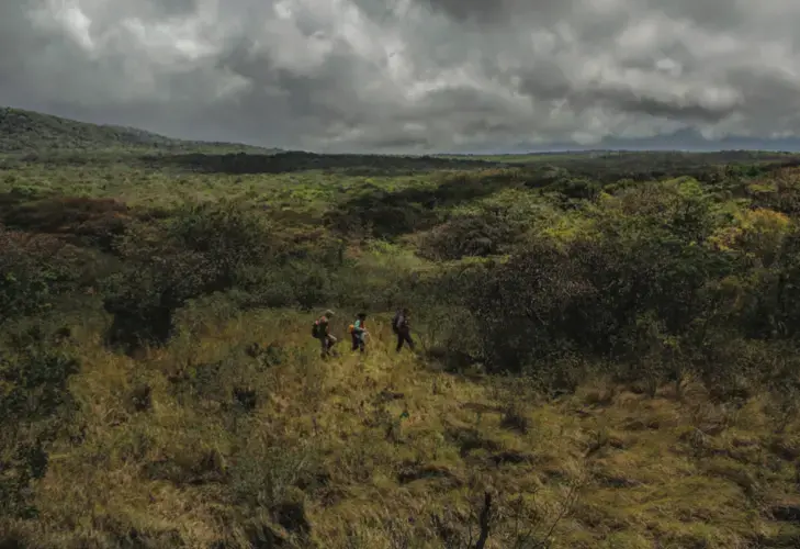 Researchers crossing a windy shoulder of Rincón de la Vieja, where they might learn how tropical forests will respond to higher levels of carbon dioxide. Image by Dado Galdieri. Costa Rica, 2020.