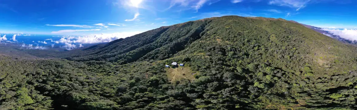 Frisbee Meadow, the base camp in Hanawi Natural Area Reserve, was used by the U.S. Fish and Wildlife Service as a remote field station in the 1970s when it wasn’t much more than a clearing in the forest. Now it has one building with a gas stove, a rain catchment system and just enough solar power to charge radios, cameras and laptops. Image by Nathan Eagle. United States, 2019.