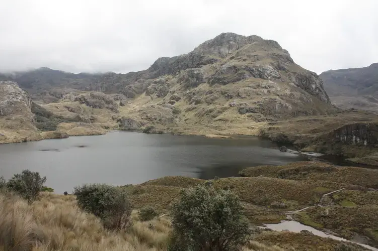 The Cajas Massif, which surrounds the Cajas National Park, is the source of water supply to the Cuenca, the coast and several tributaries of the Amazon. Image by Andrés Bermúdez Liévano. Ecuador, 2019.