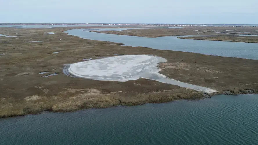 Sand added to this section of Great Flat near Stone Harbor in Cape May County has successfully created habitat for diamondback terrapins and endangered beach-nesting bird species. Image courtesy of Gary Paul.<br />
