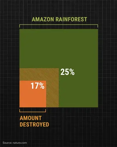 In 20 to 30 years, the Amazon could reach a tipping point of 25 percent deforestation. This would begin an irreversible collapse, eventually turning the world’s largest rainforest into dry savanna. Image by Amanda Northrop / Vox.