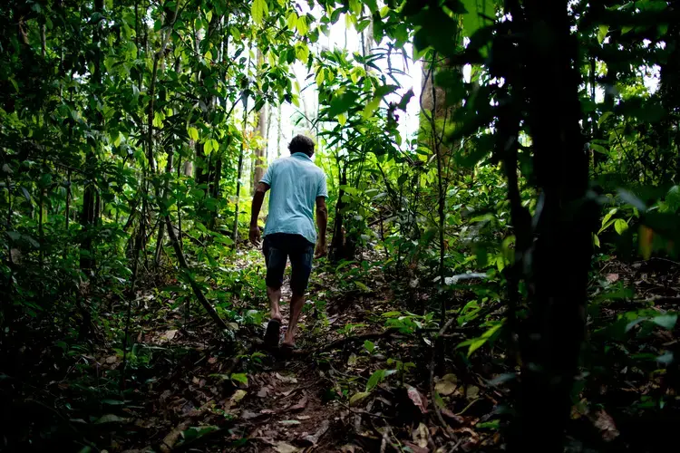 Elias da Silva Lima, 63, walks through the forest between his home and a clearing he farms on the Virola Jatoba settlement in Anapu. Image by Spencer Heaps. Brazil, 2019.