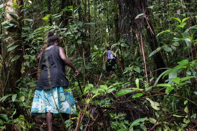 Monica Taafuni, 48, and Judy Boifuana, 38 begin a hike in the jungle near Igwa village on the island of Malaita, Solomon Islands, September 18, 2019. Image by Thomson Reuters Foundation/Monique Jaques. Solomon Islands, 2019.