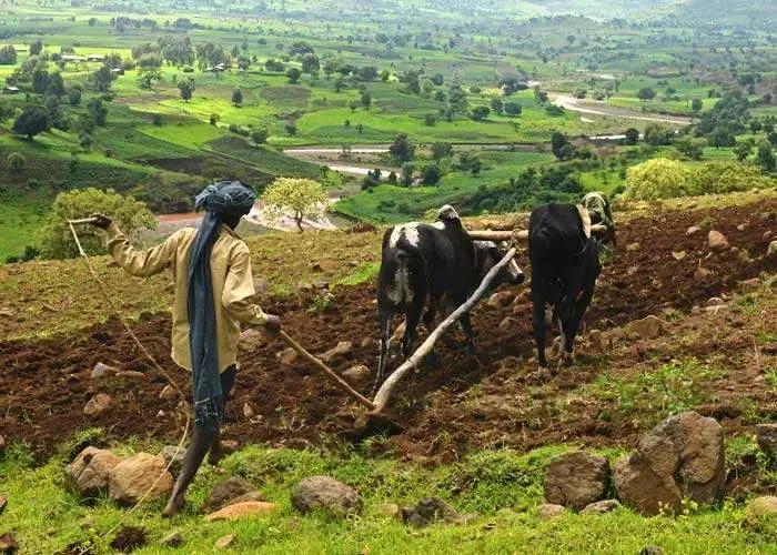 Image by Jonathan Rashad. Ethiopia.