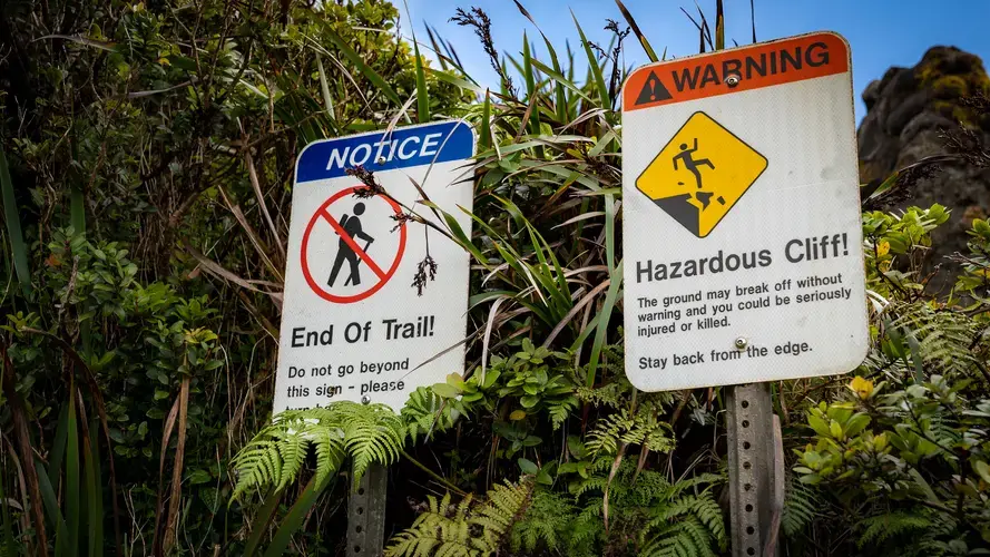 Completely native forests are only found in the most remote areas of the island. Most hiking trails lead through a mix of native and invasive plants. Image by&nbsp;Kuʻu Kauanoe/Civil Beat. United States, 2020.