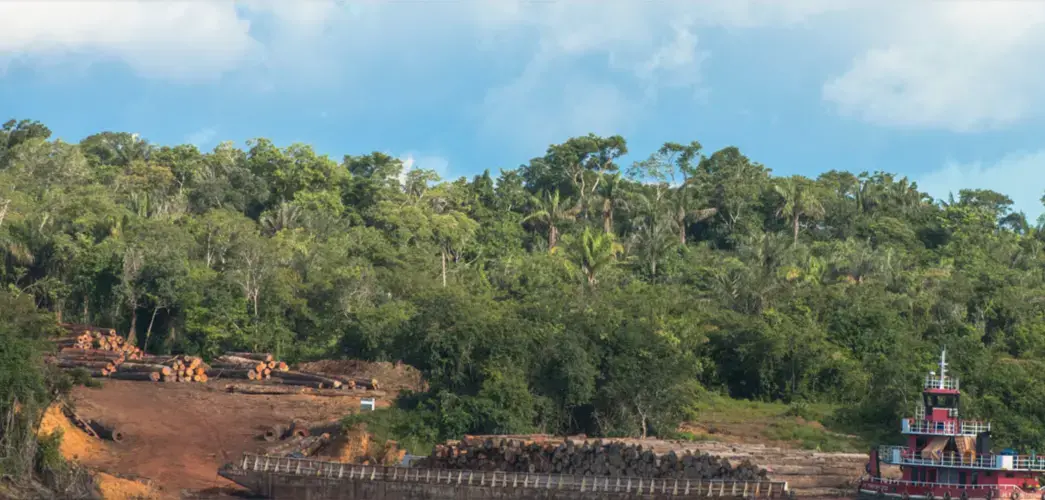 A barge laden with logs heads downriver. The Sateré fear that their ancestral lands on the Mariaquã River, mistakenly left out of the Andirá-Marau Indigenous Reserve, could be logged over by invaders. Image by Matheus Manfredini. Brazil, 2019.
