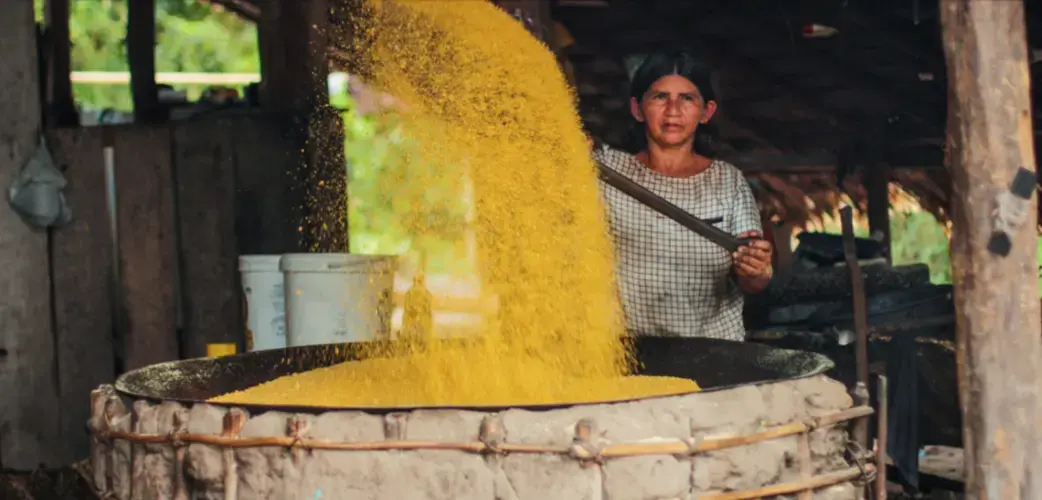 Sonia making farinha in a Sateré-Mawé village in the Brazilian Amazon. The Sateré practice a largely traditional lifestyle, relying on the forest for survival. Image by Matheus Manfredini. Brazil, 2019.