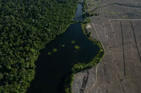 A forest and a soy field are seen from above. 