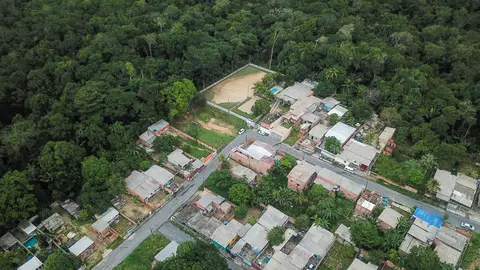 Aerial view of buildings and rainforest.