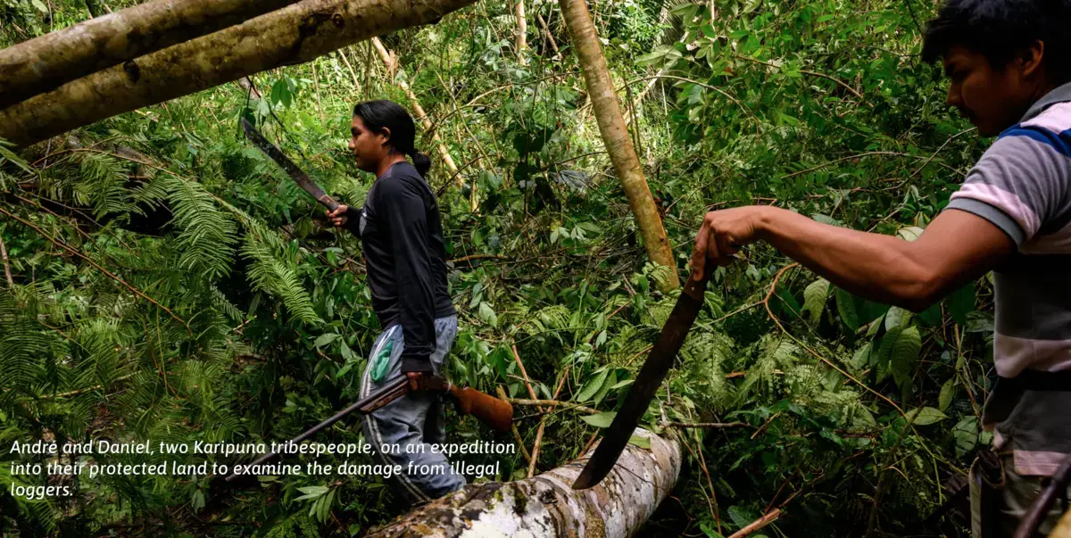 The Amazon Rainforest Is Nearly Gone We Went To The Front Lines To See If It Could Be Saved Rainforest Journalism Fund The Amazon Rainforest Is Nearly Gone We Went To The Front Lines To See If It Could Be Saved Rainforest Journalism Fund