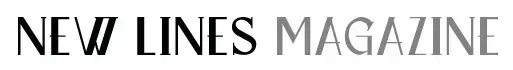 Image by New Lines Magazine. United States, 2022.