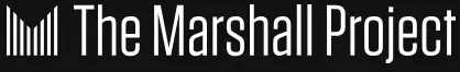 Publication logo
