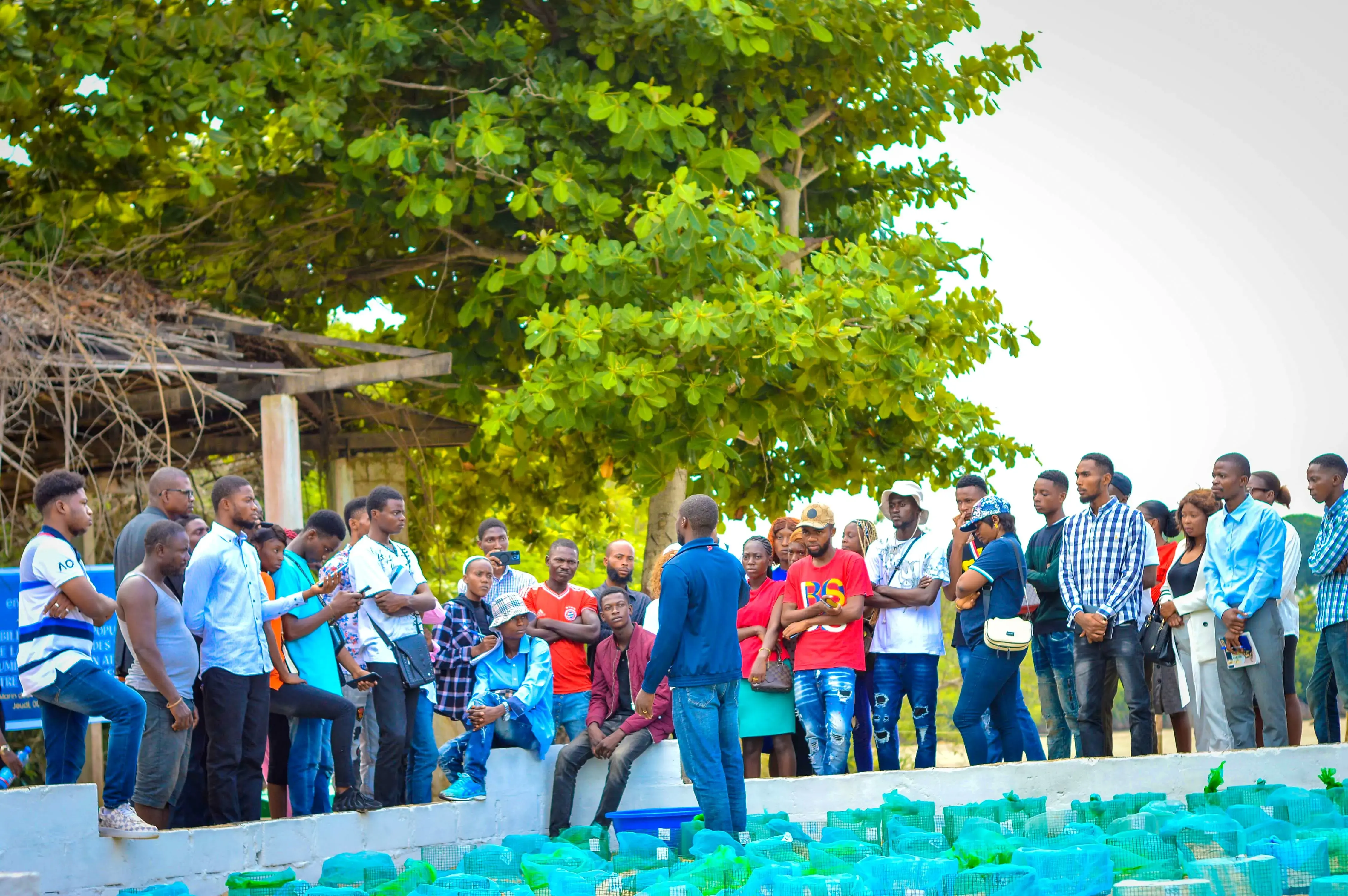 young people in the DRC discuss ocean biodiversity
