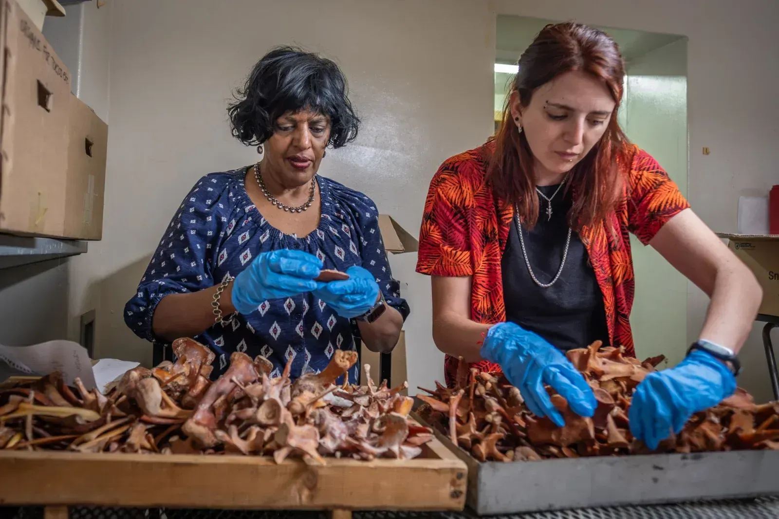 Anusuya Chinsamy-Turan (left) and biologist Maria Eugenia Pereyra (right) gaze at the flotilla of crocodiles lurking below. "Each of them, their skeletons tell a story about how they grew," says Chinsamy-Turan.