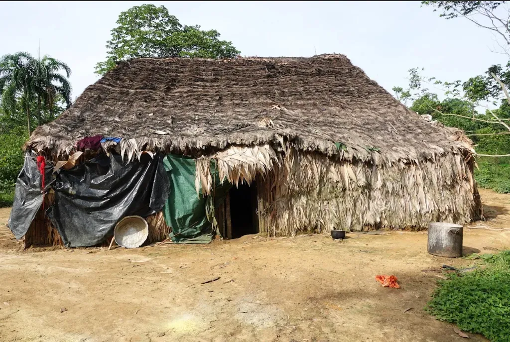 A one-story home waterproofed in large, dried forest leaves.
