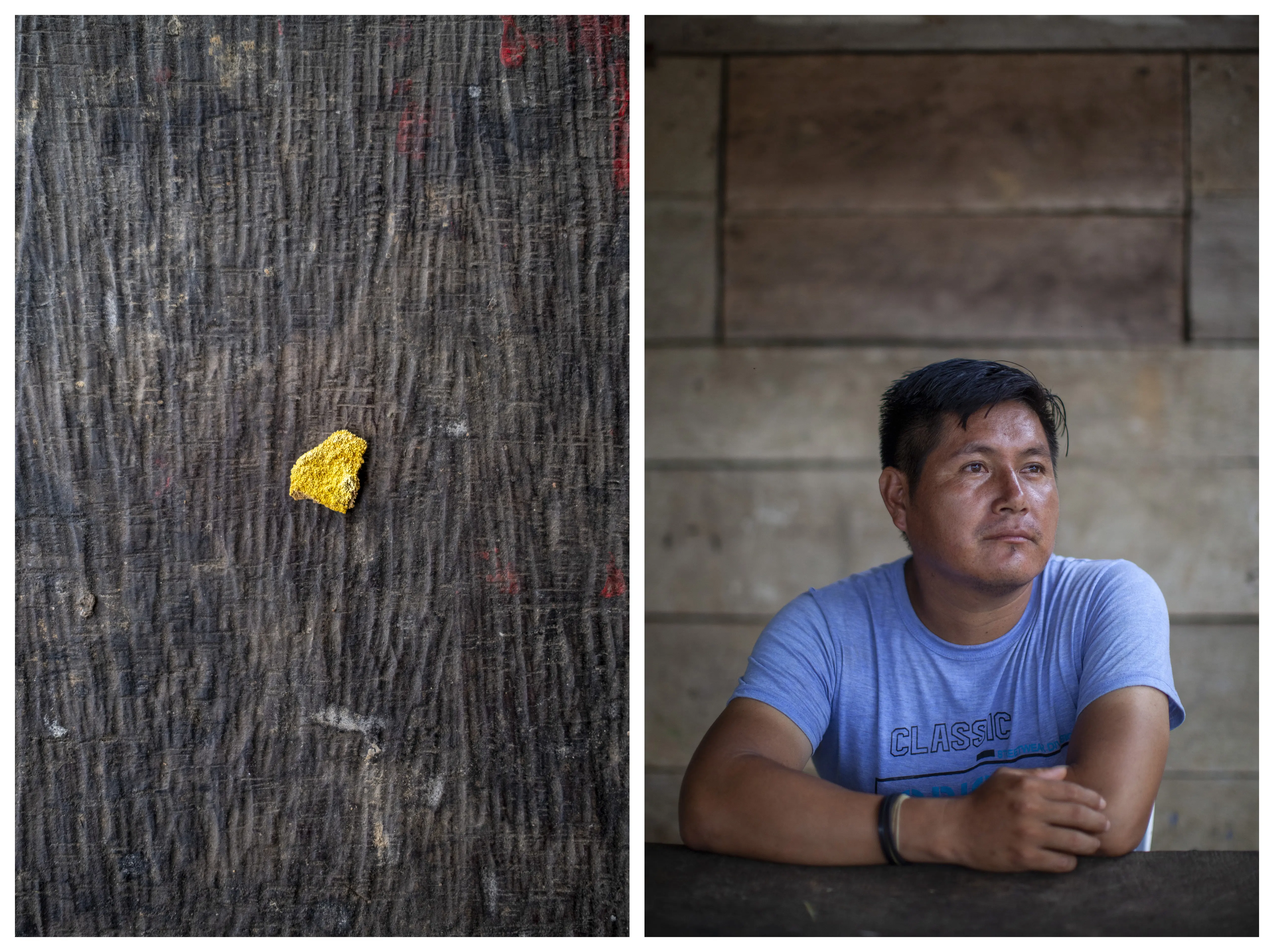 Left: a flake of gold on dark woodgrain. Right: Larri Ihuizi Keontehuari, president of Puerto Luz’s Harakmbut community.