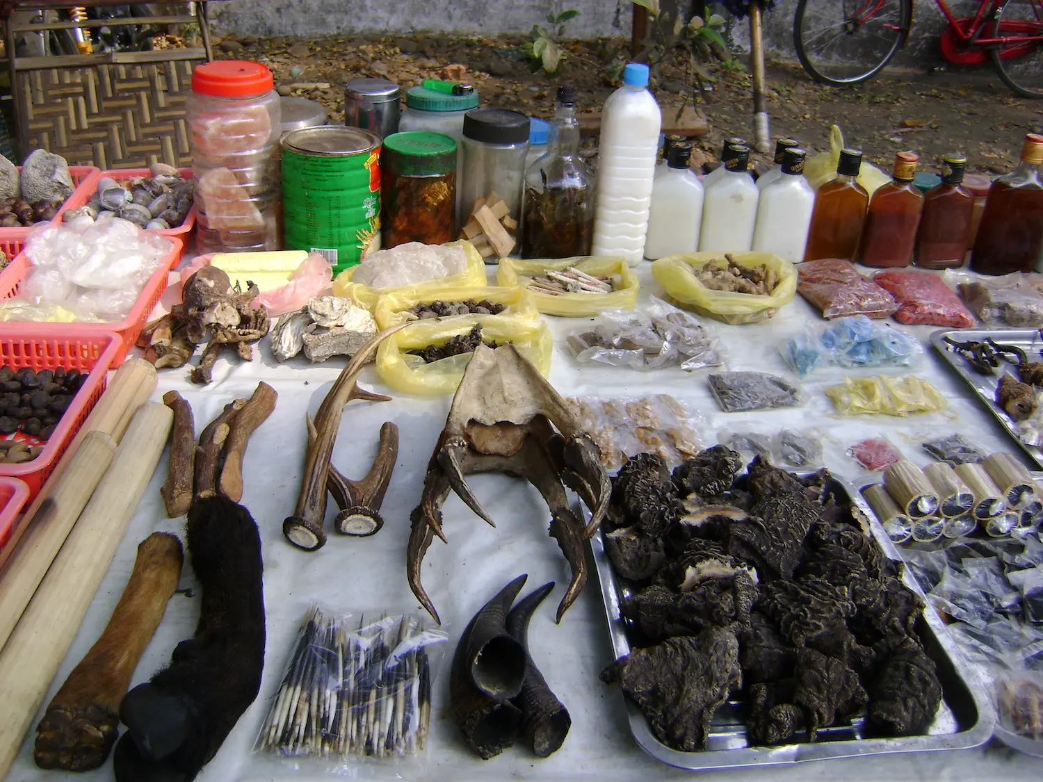 Illegal Wildlife Trade