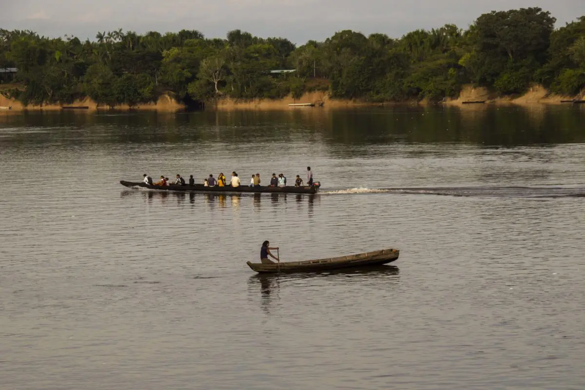 canoas recorren un río amazónico 