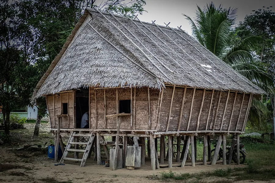 A thatched-roof structure on stilts sits with tropical trees in the background