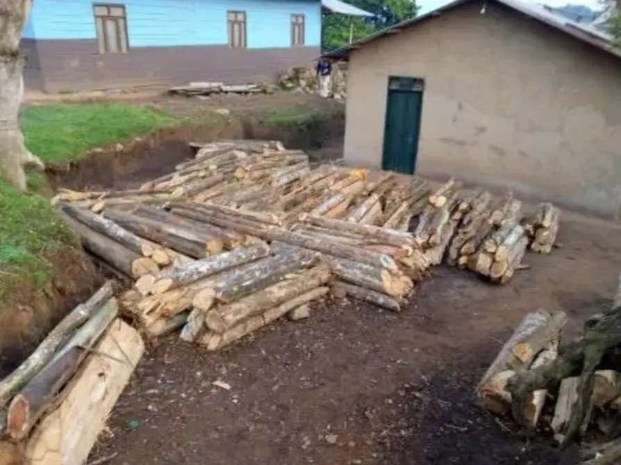 stacks of wood outside a house