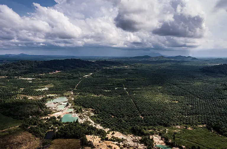 rows of planted trees dominate the landscape where turquoise colored pools sit on bare patches of land<br />
