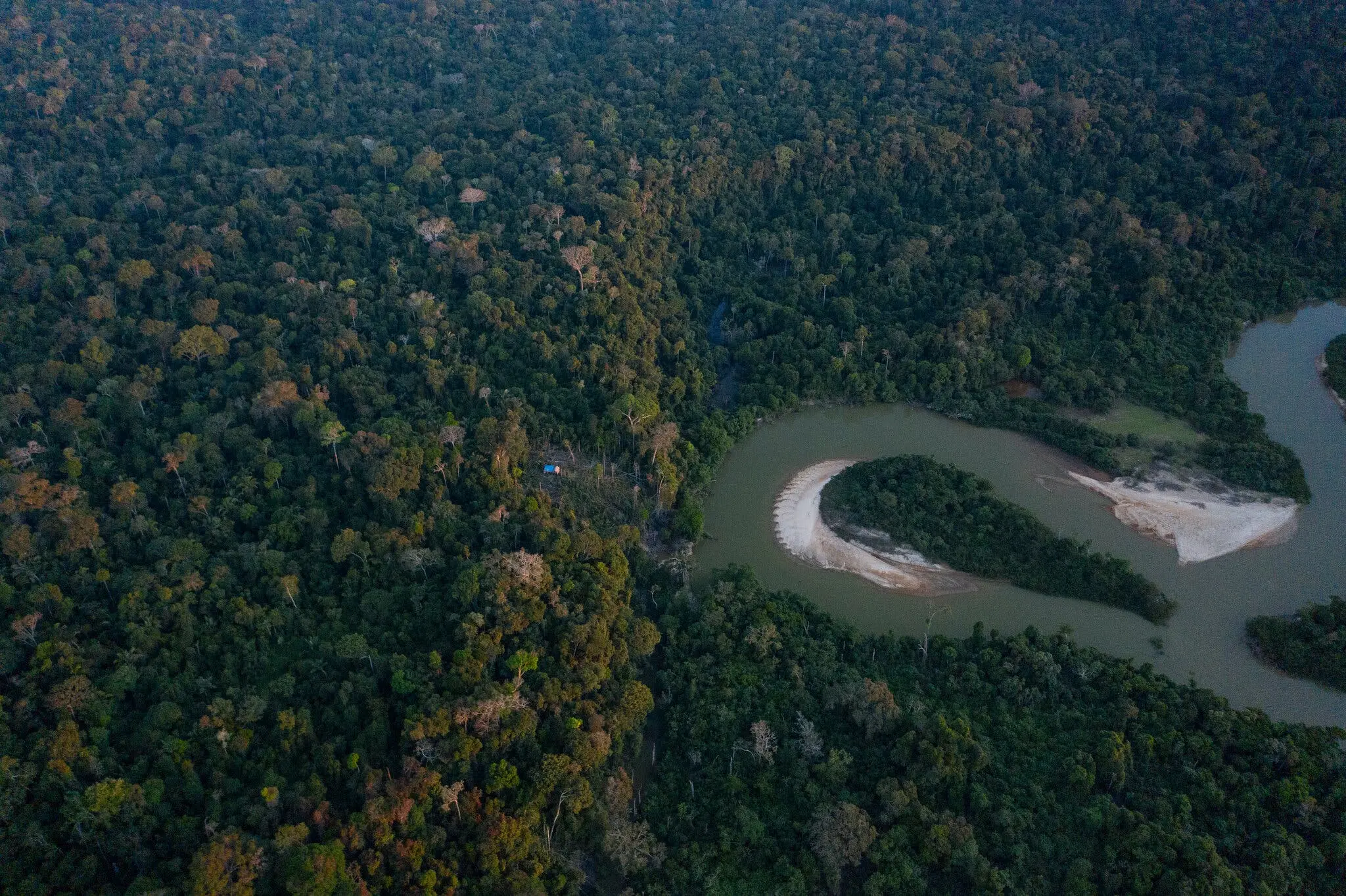 The forested area showing rubber trees