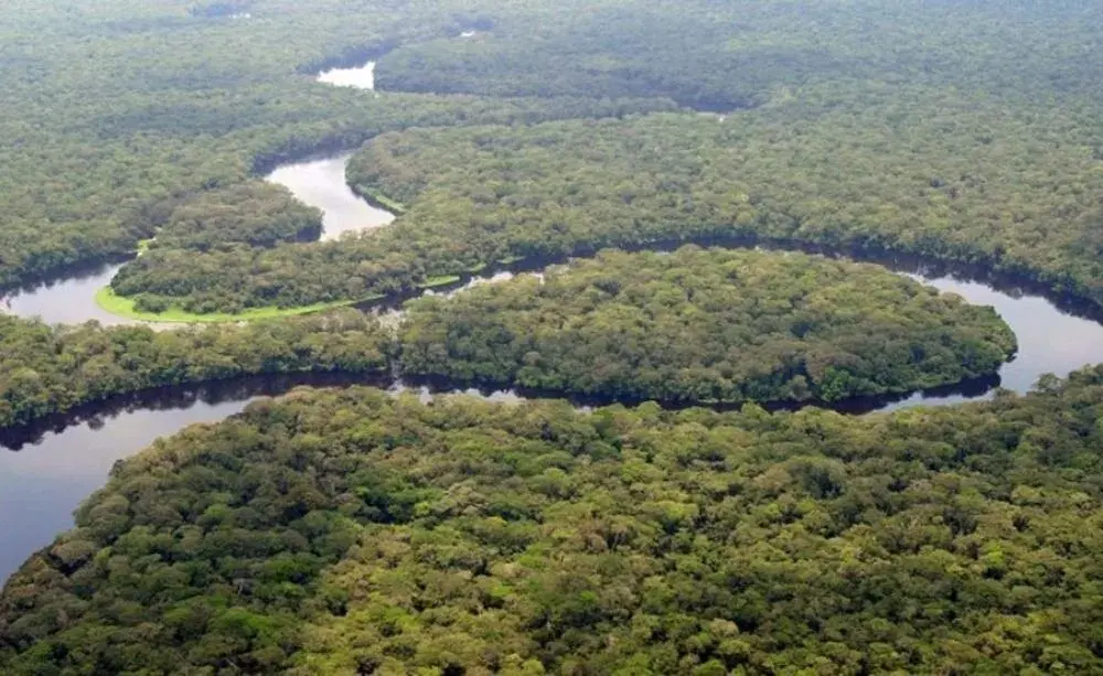 Elders call for quick action to curb rampant exploitation of South Sudanese forests 1