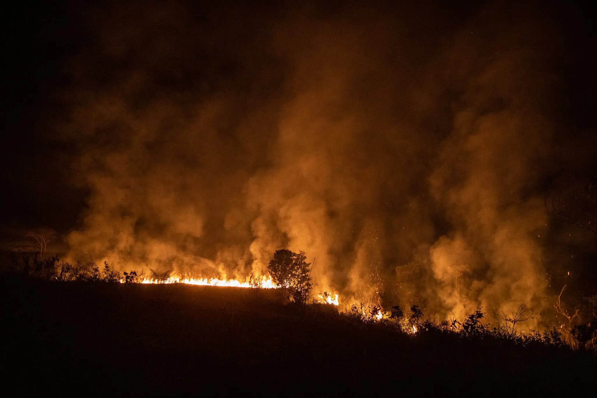Burning pasture land near Porto Velho