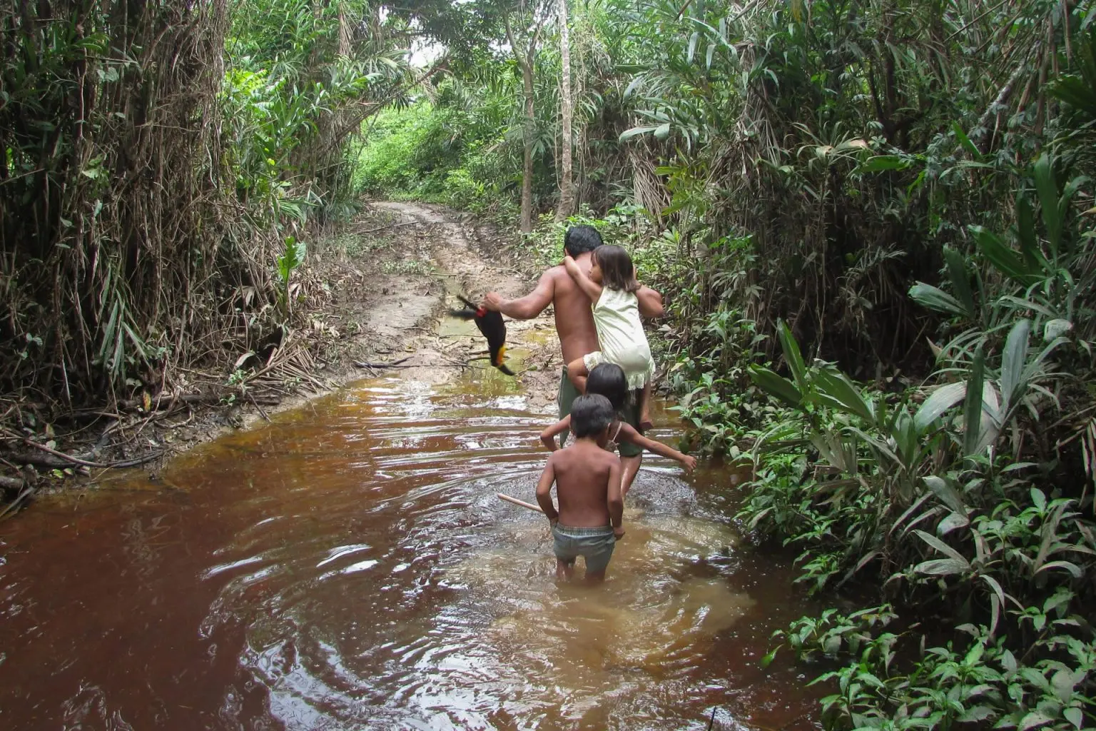 The Jungle Against the End of the World (Spanish) | Rainforest Journalism  Fund