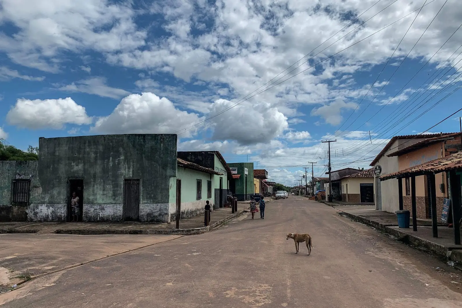 The Jungle Against the End of the World (Spanish) | Rainforest Journalism  Fund