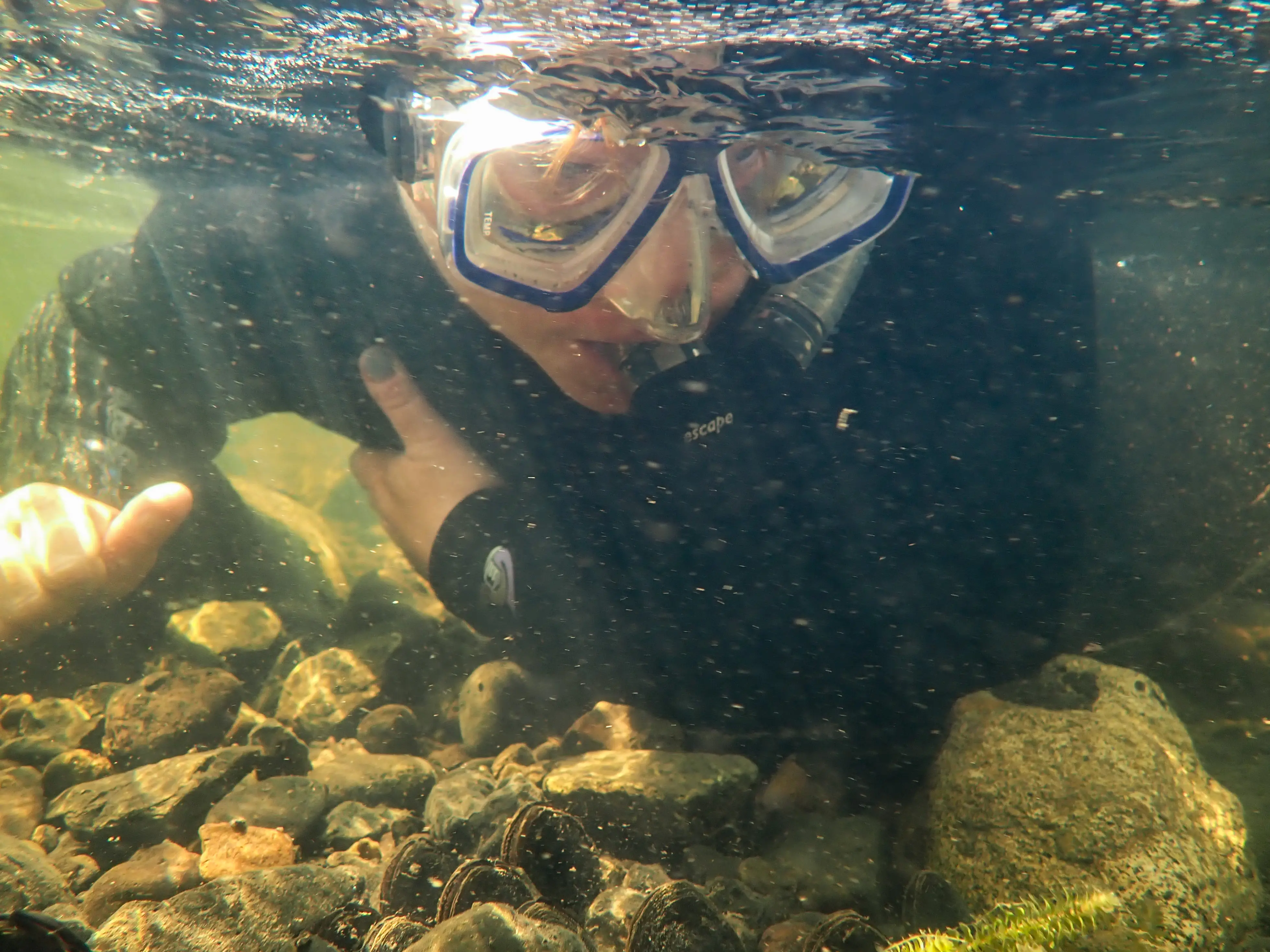 closeup of snorkeling person underwater